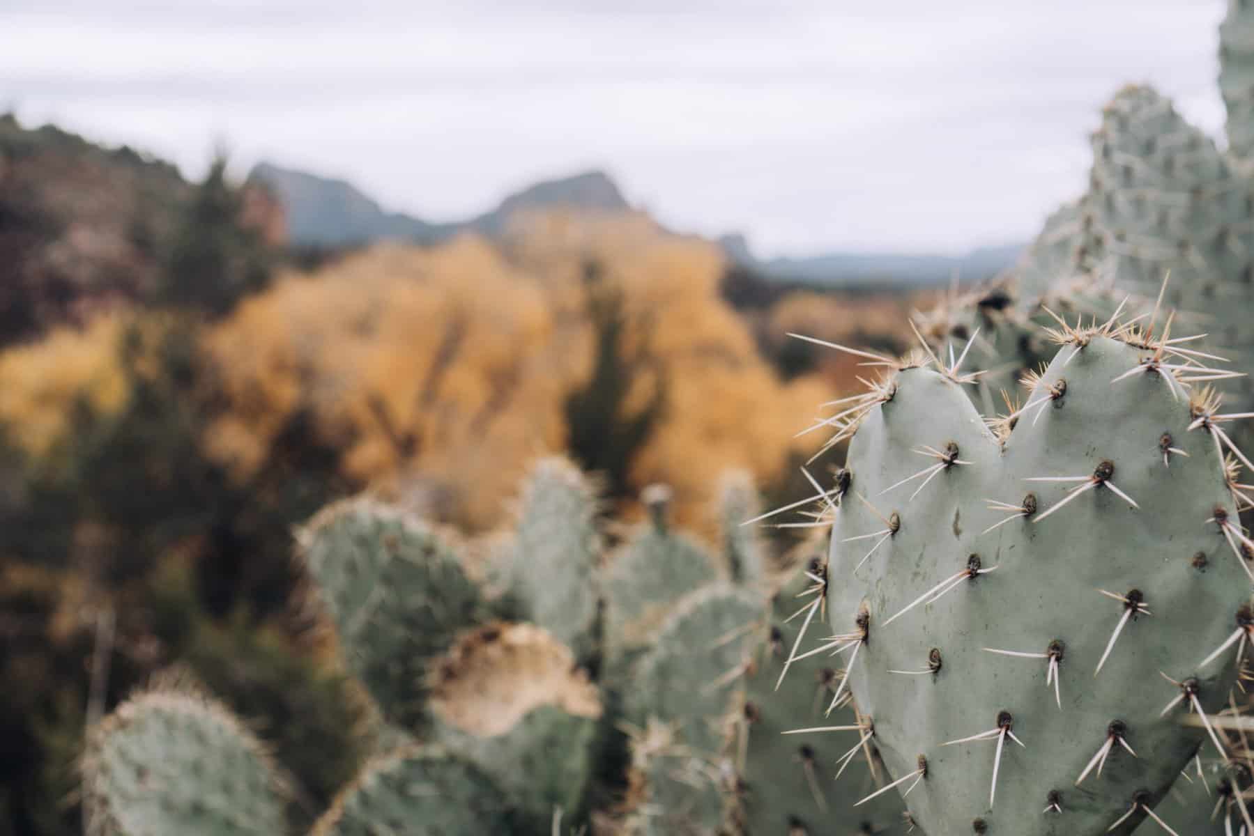 ahwatukee-arizona